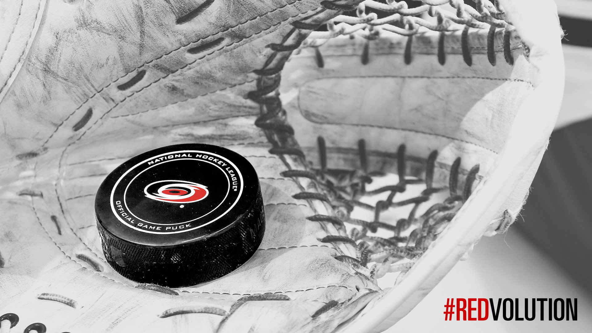 Carolina Hurricanes Puck - HD Wallpaper 