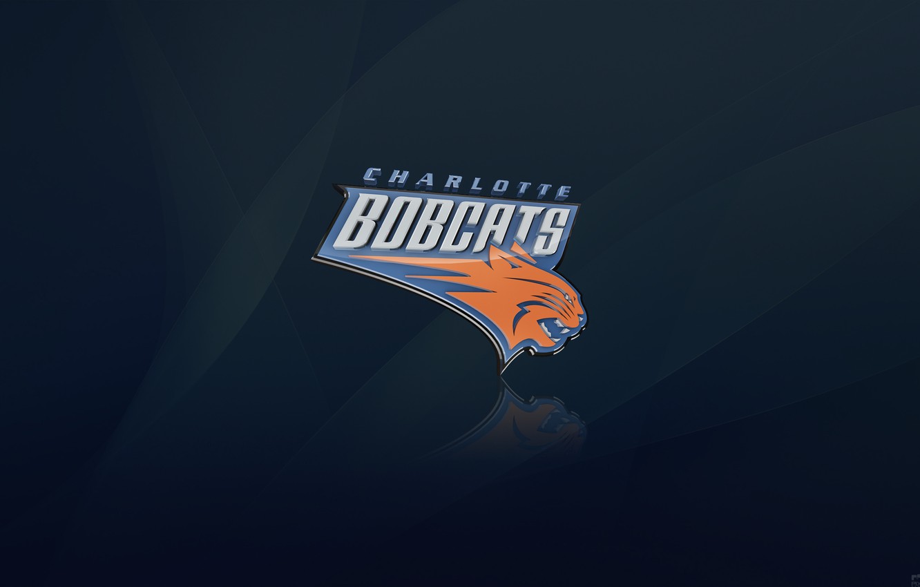 Photo Wallpaper Blue, Basketball, Background, Logo, - Charlotte Hornets - HD Wallpaper 