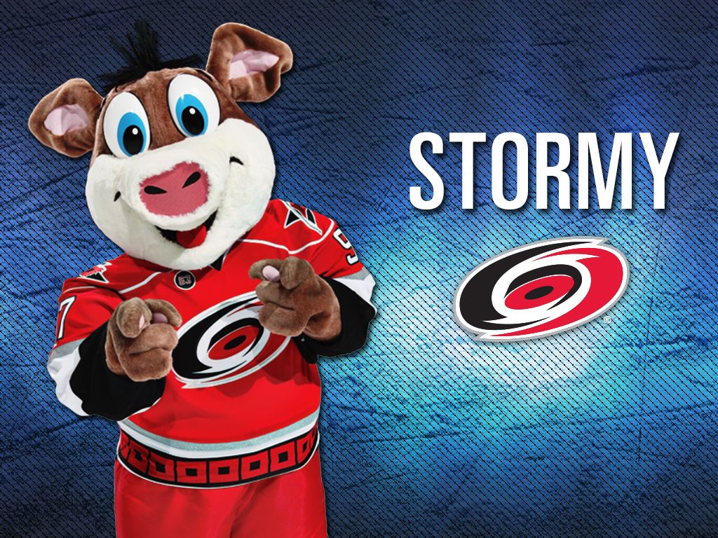 Carolina Hurricanes Logo And Stormy - HD Wallpaper 