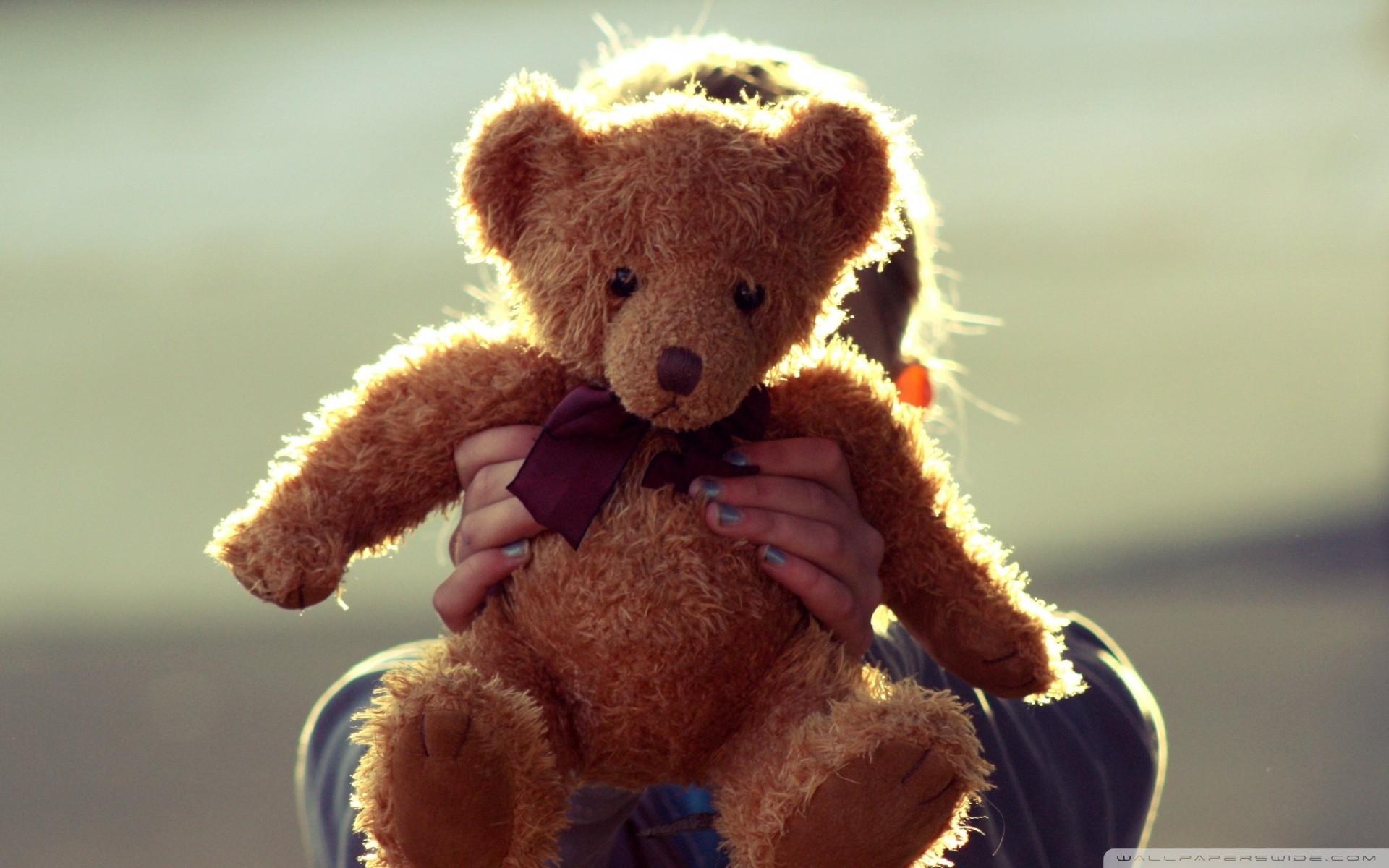 Data-src - صور كيوت دبدوب - HD Wallpaper 