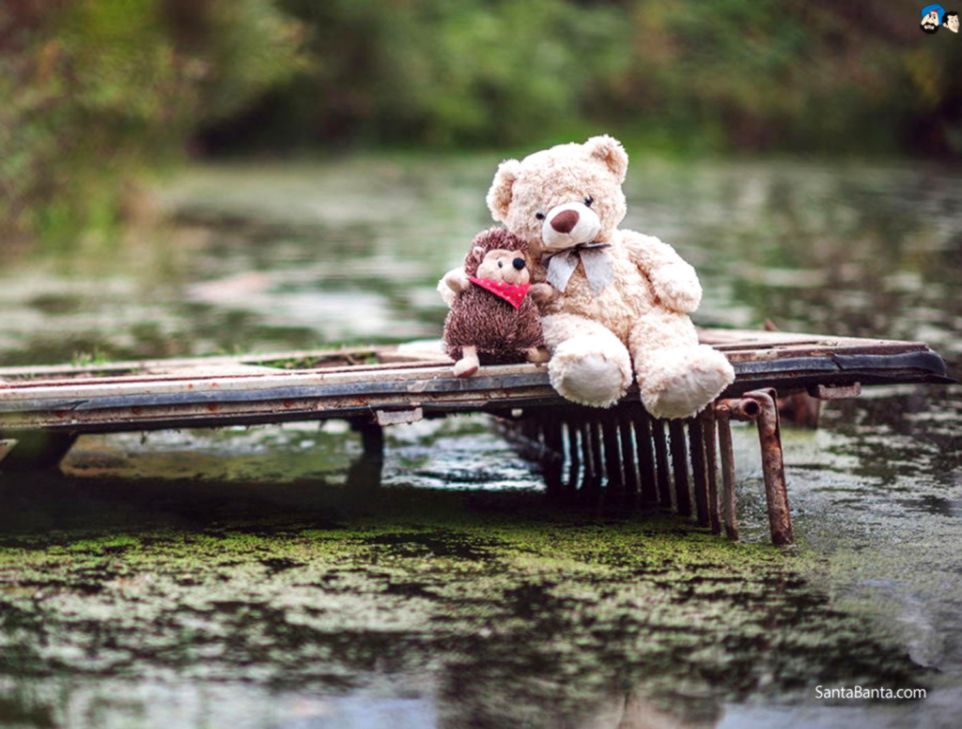 35 Best Happy New Year 2019 Teddy Bear Pictures With - Teddy Bear Wallpapers Hd For Desktop - HD Wallpaper 