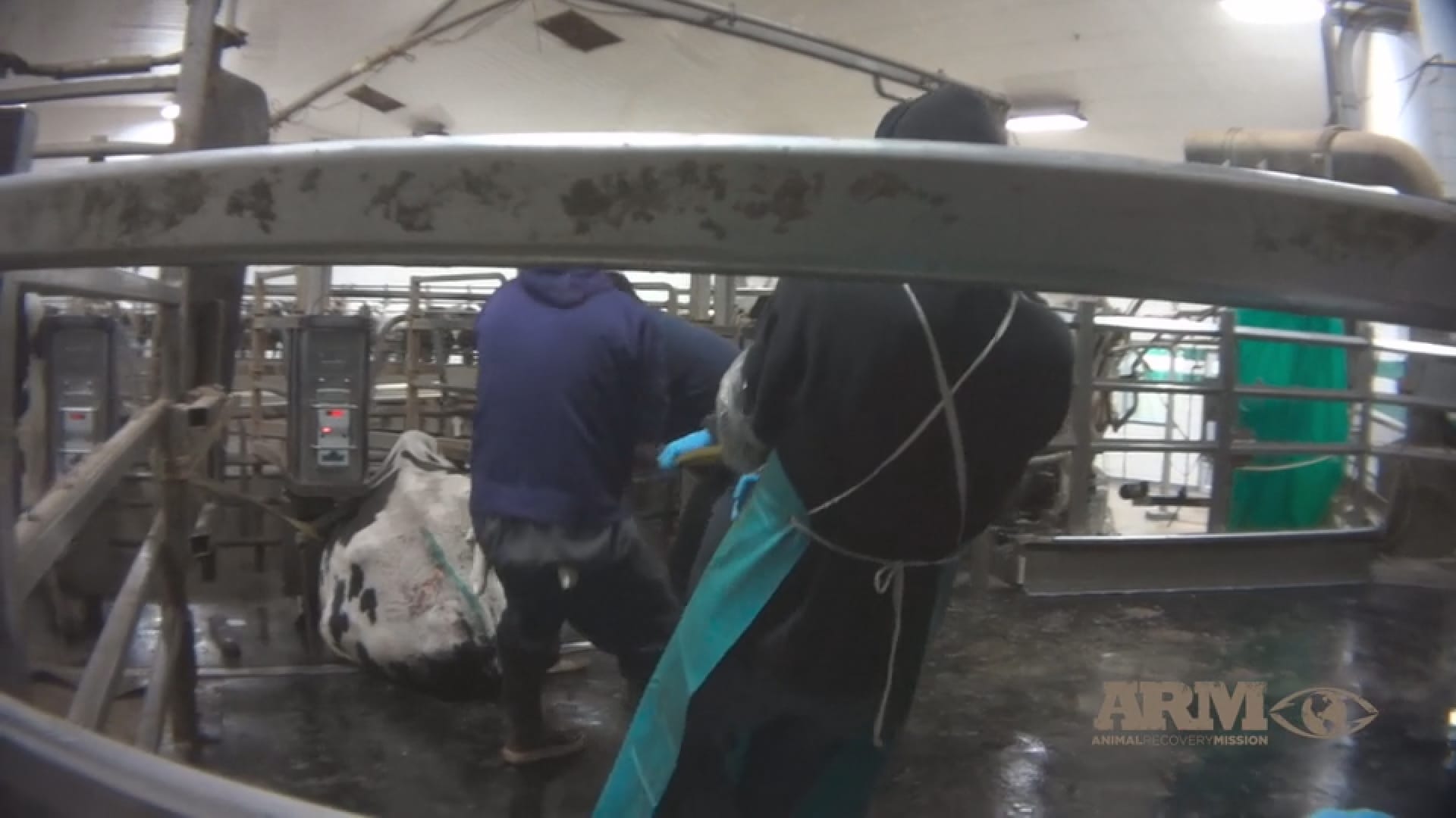 Fair Oaks Farm Abuse Video - HD Wallpaper 