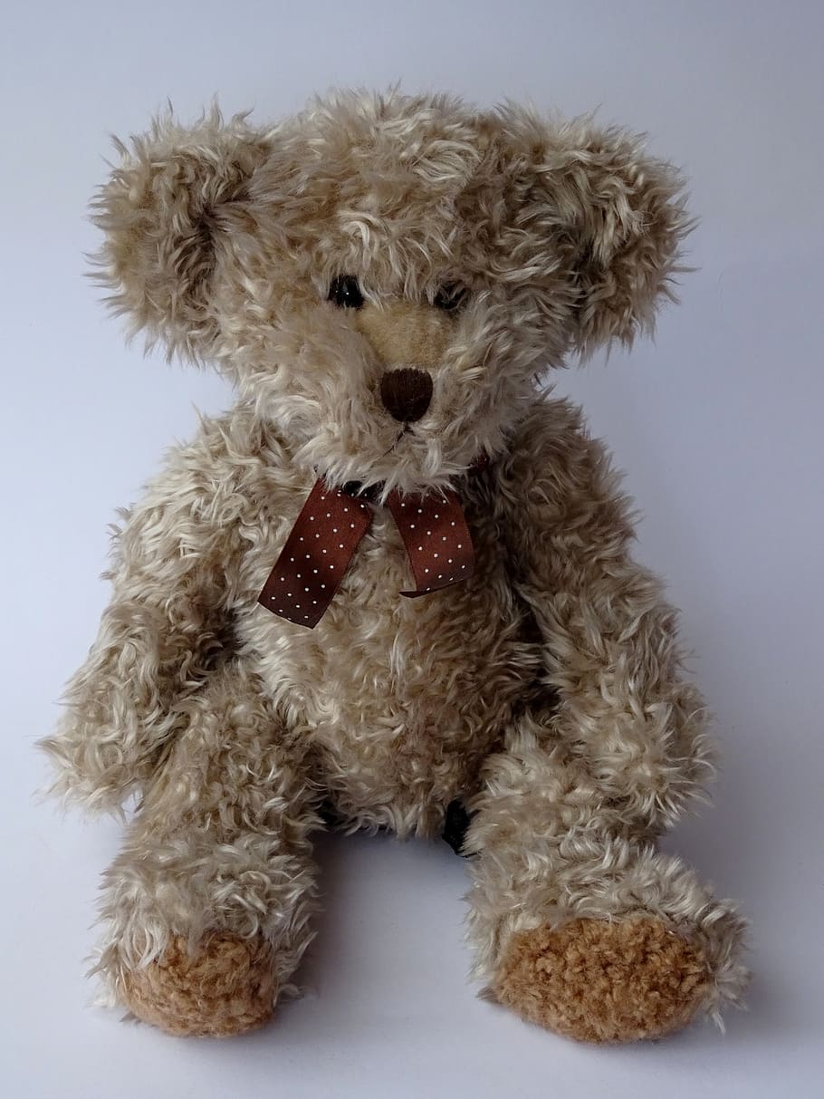 Teddy, Teddy Bear, Soft Toy, Stuffed Animal, Cute, - Stuffed Toy - HD Wallpaper 