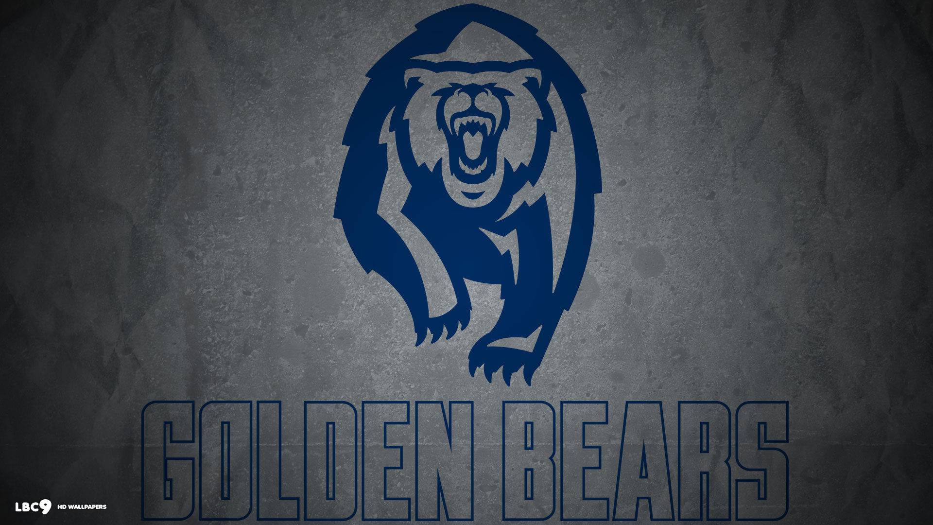 Chicago Bears Iphone Wallpaper - Copper Hills Grizzlies - HD Wallpaper 