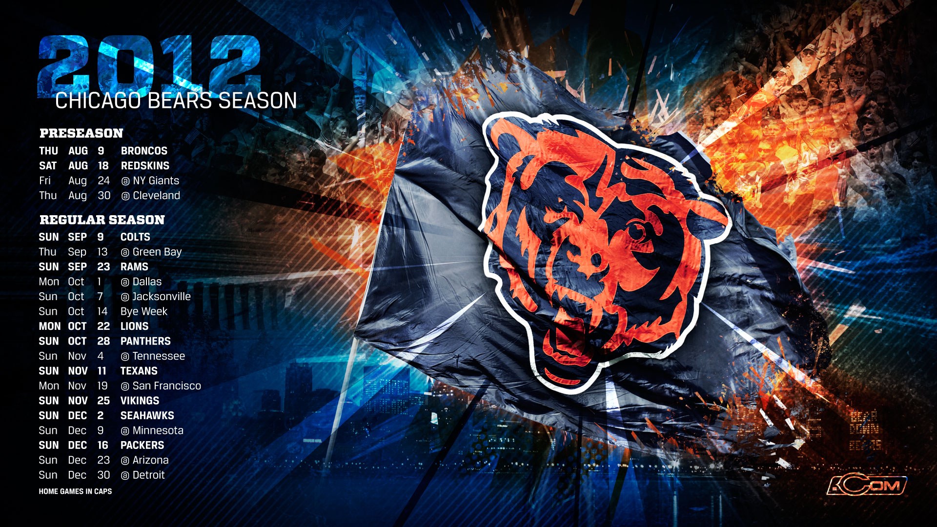 Chicago Bear - HD Wallpaper 