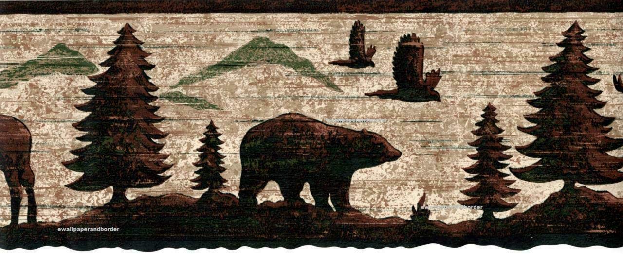 Grizzly Bear - HD Wallpaper 