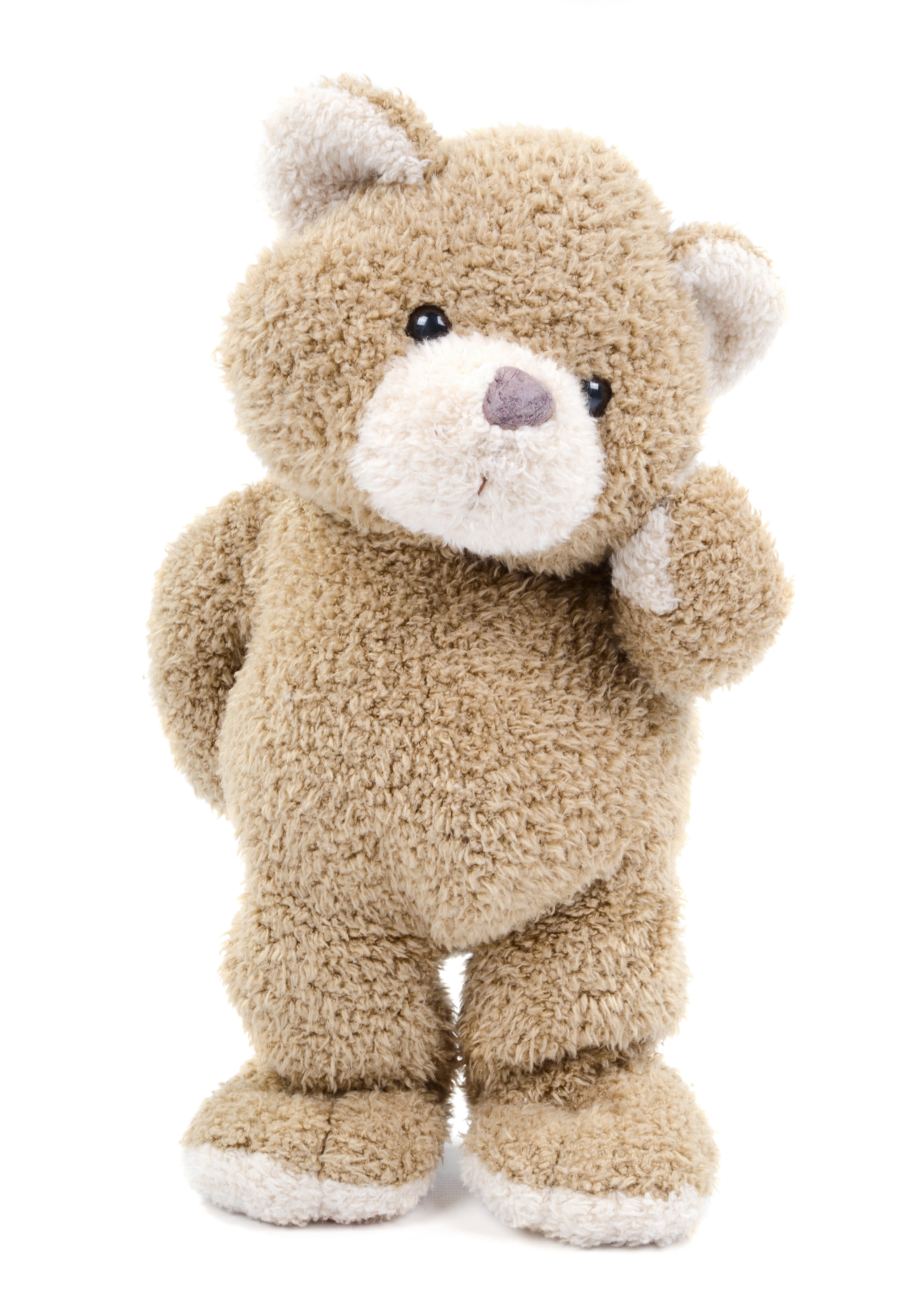 泰 迪 熊 側面 - HD Wallpaper 