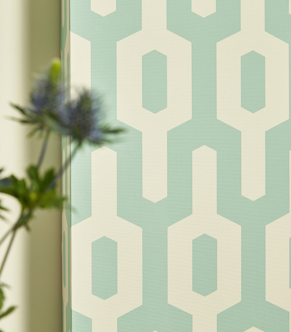 Chrysanths - HD Wallpaper 