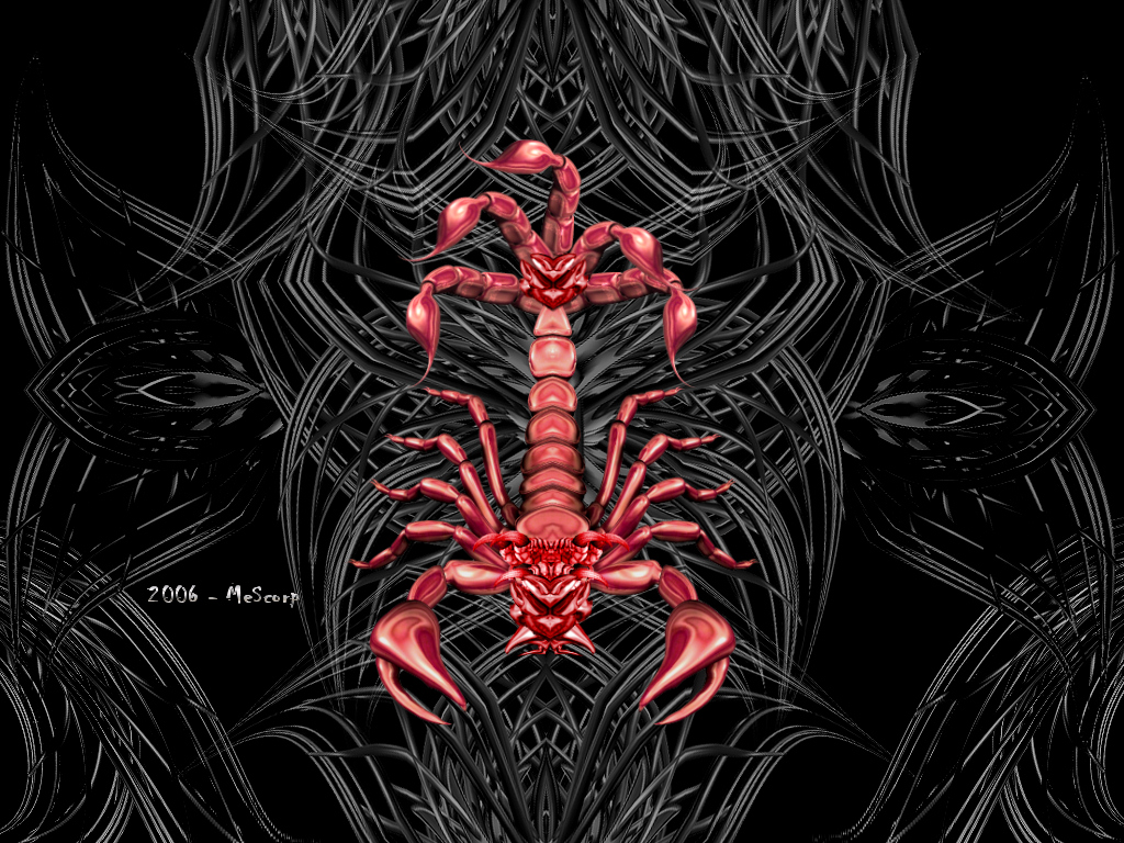 Meal Scorpion Wallpaper - Tribal Scorpion - HD Wallpaper 