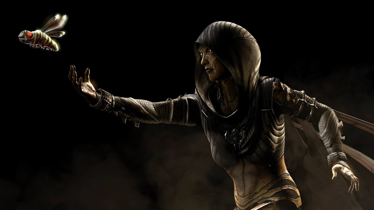Mortal Kombat X Character - HD Wallpaper 