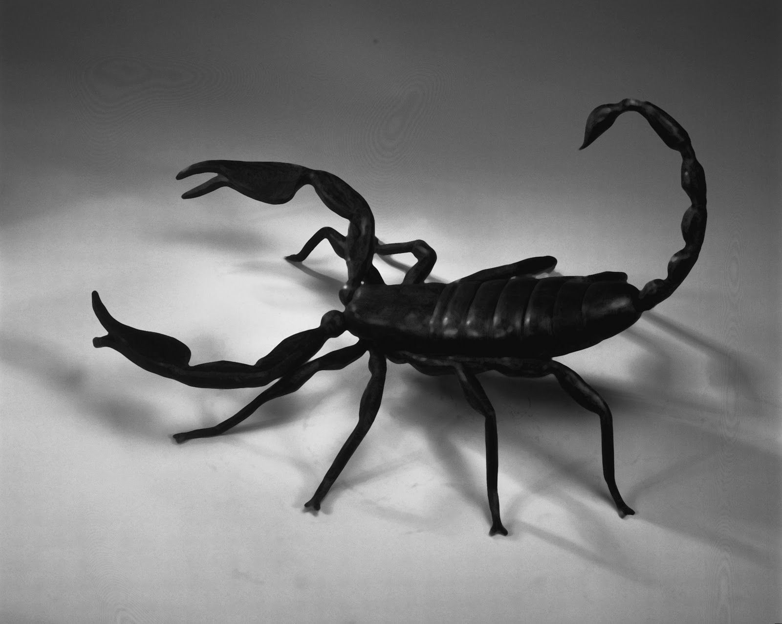 Pic For Iphone - Black Scorpion - HD Wallpaper 
