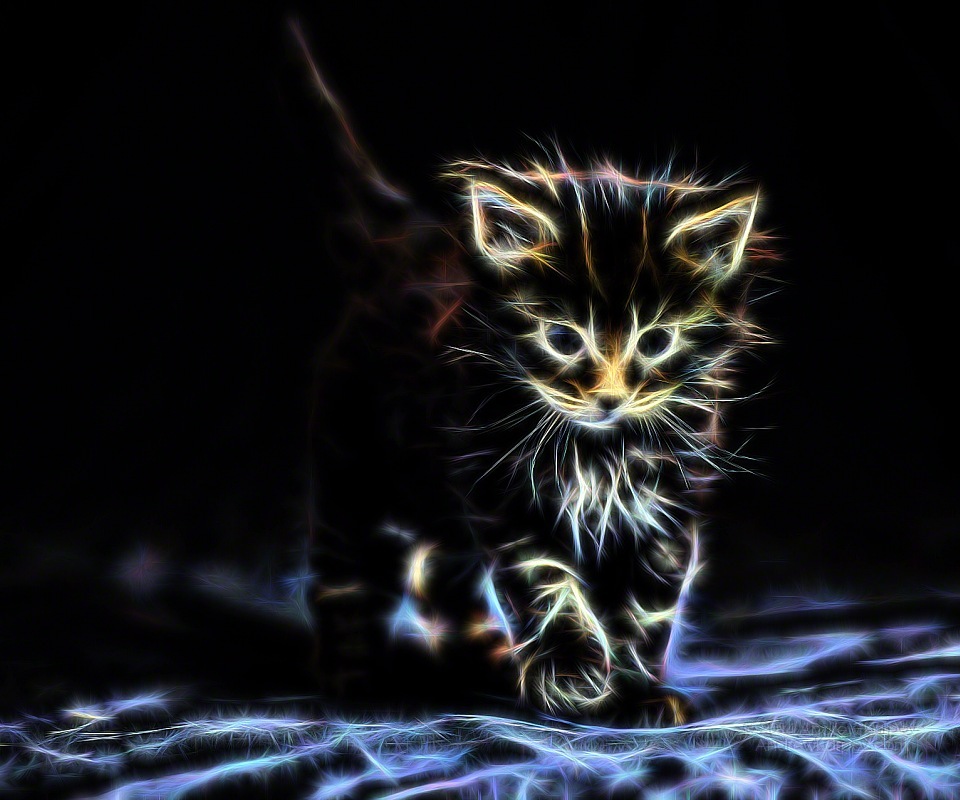 Cats Made Of Fantasy Picture Photo - - Wallpaper - HD Wallpaper 