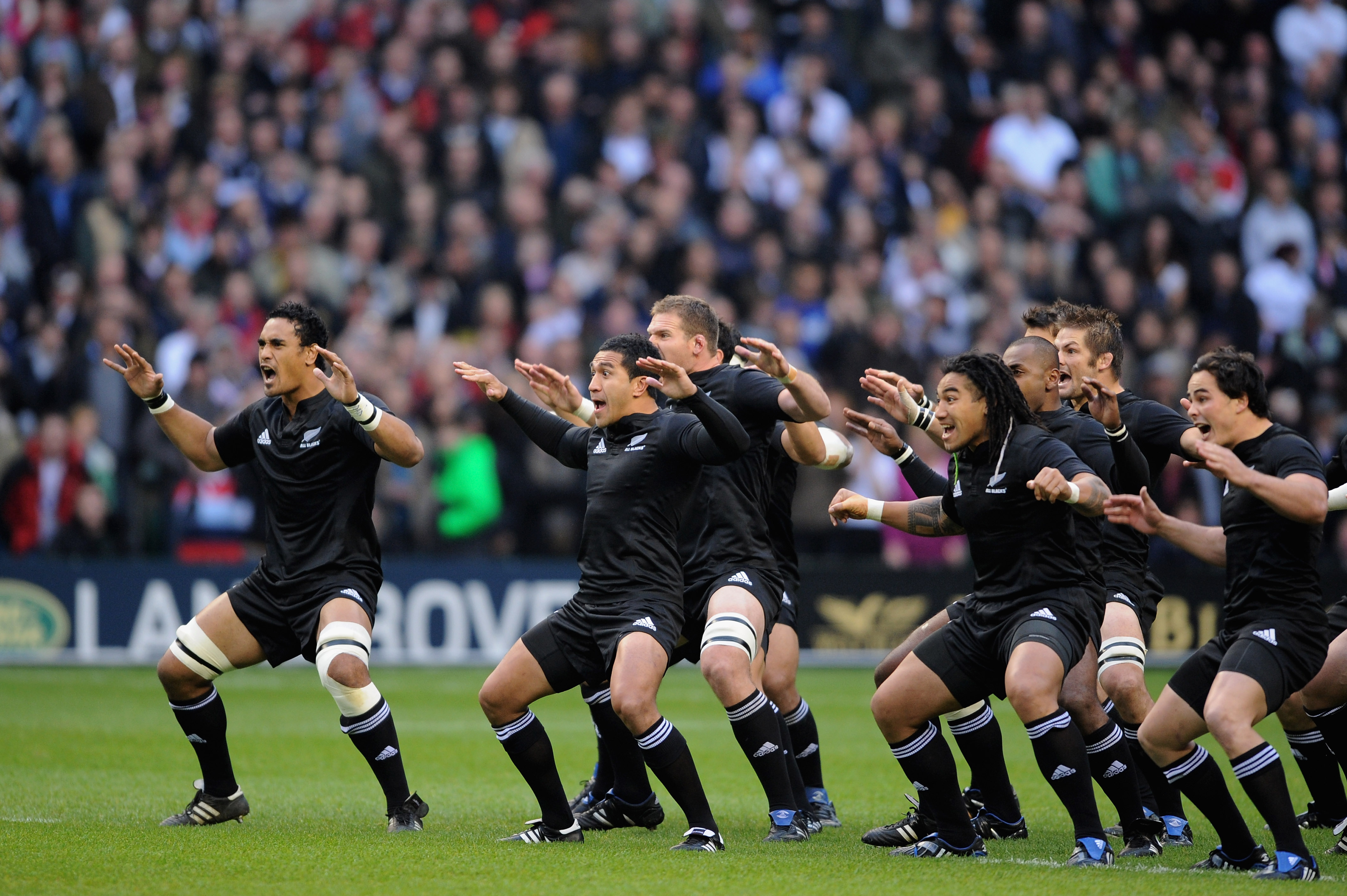 New Zealand National Rugby Union Team - HD Wallpaper 