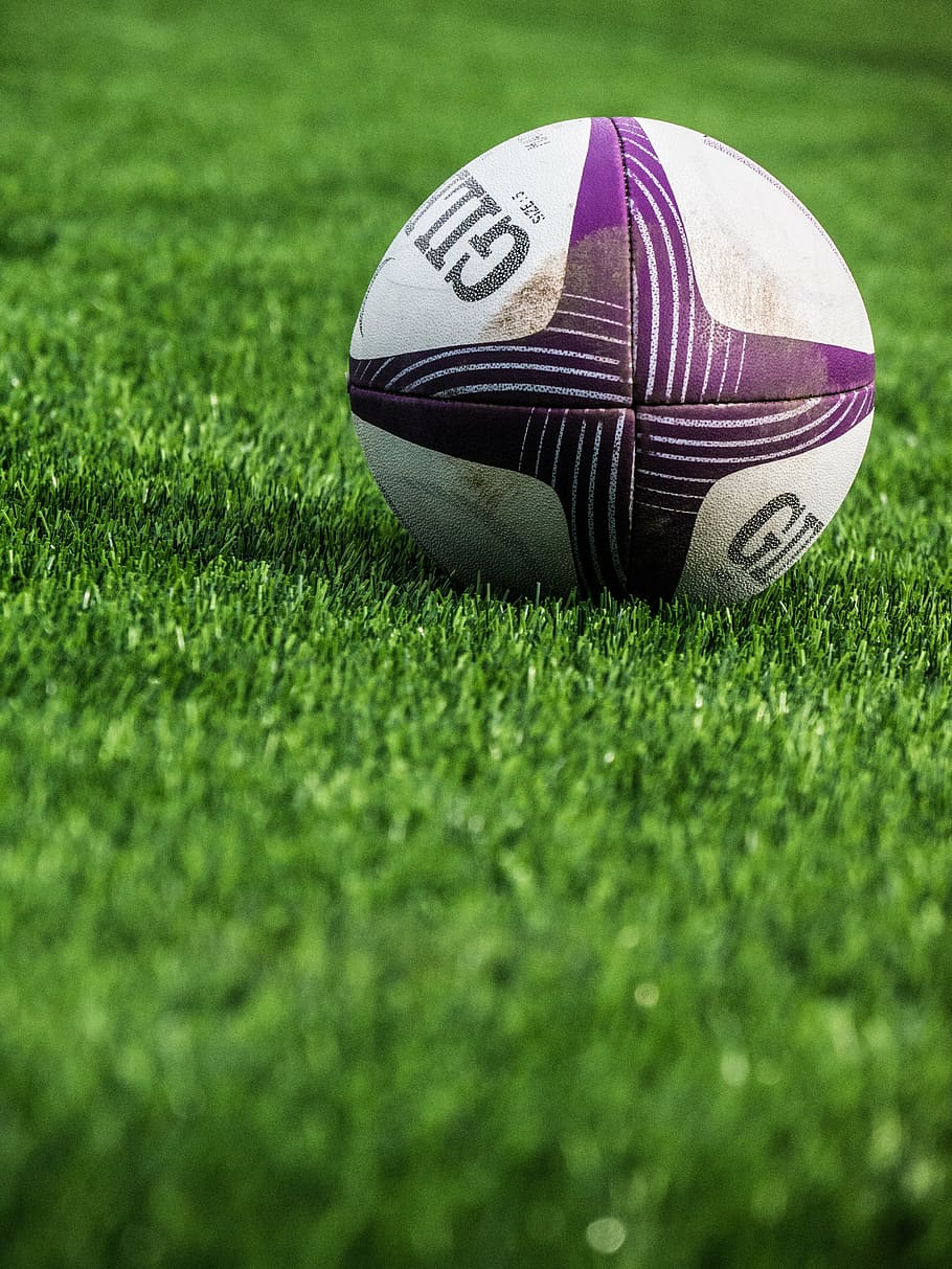 Shallow Focus Photography Of Purple And White Soccer - Rugby Ball On Field - HD Wallpaper 