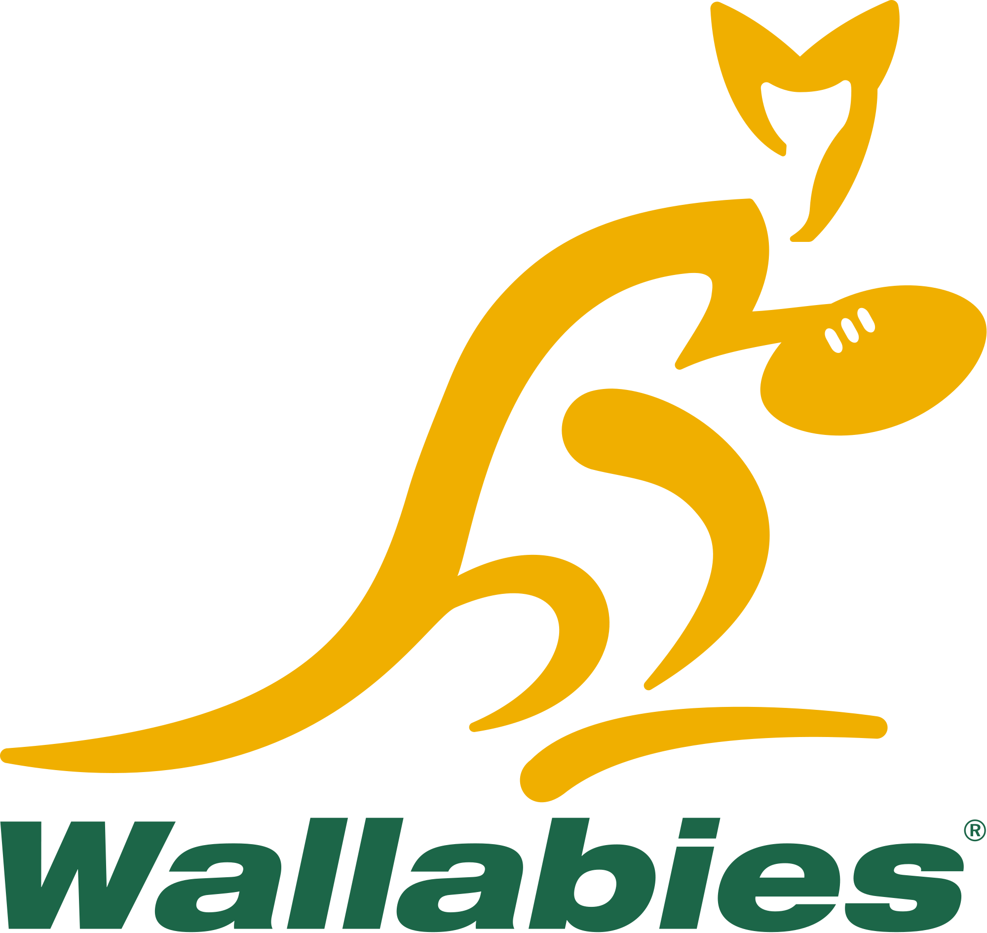 Australia National Rugby Union Team - HD Wallpaper 