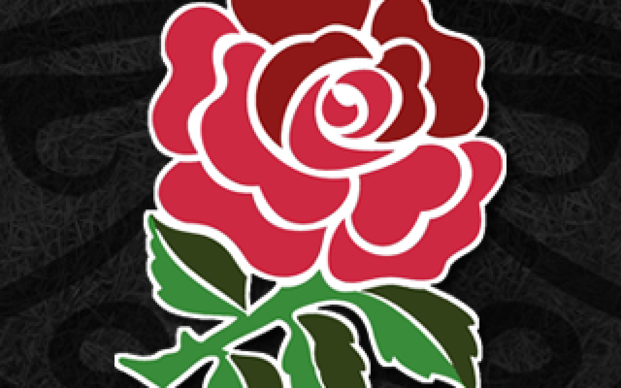 Rugby Desktop - St George's Day Rose - HD Wallpaper 
