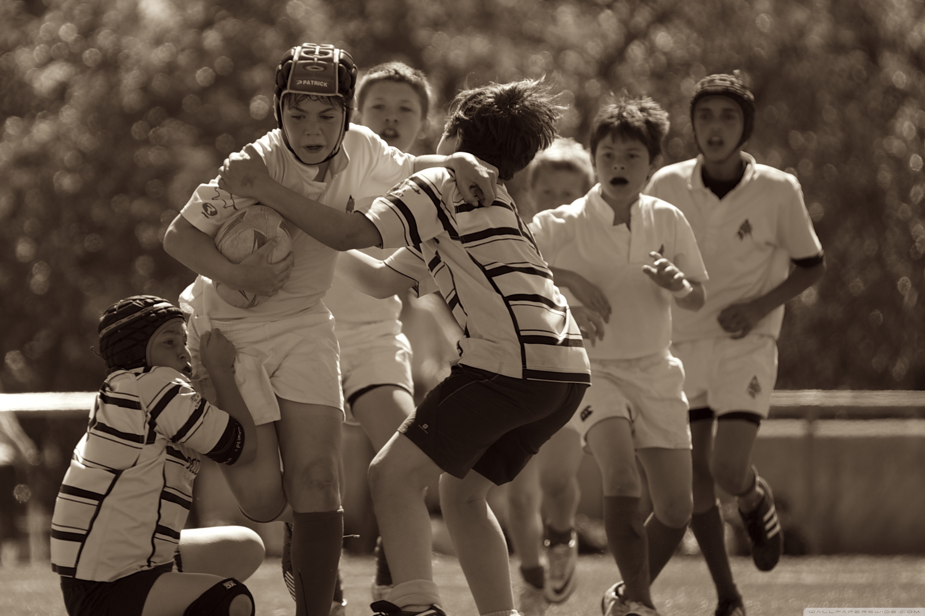 Microsoft Surface - HD Wallpaper 