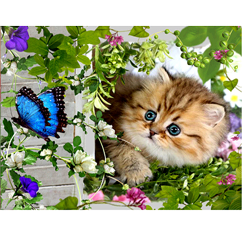 Ls-9848 - Schmetterling Mit Katze - HD Wallpaper 