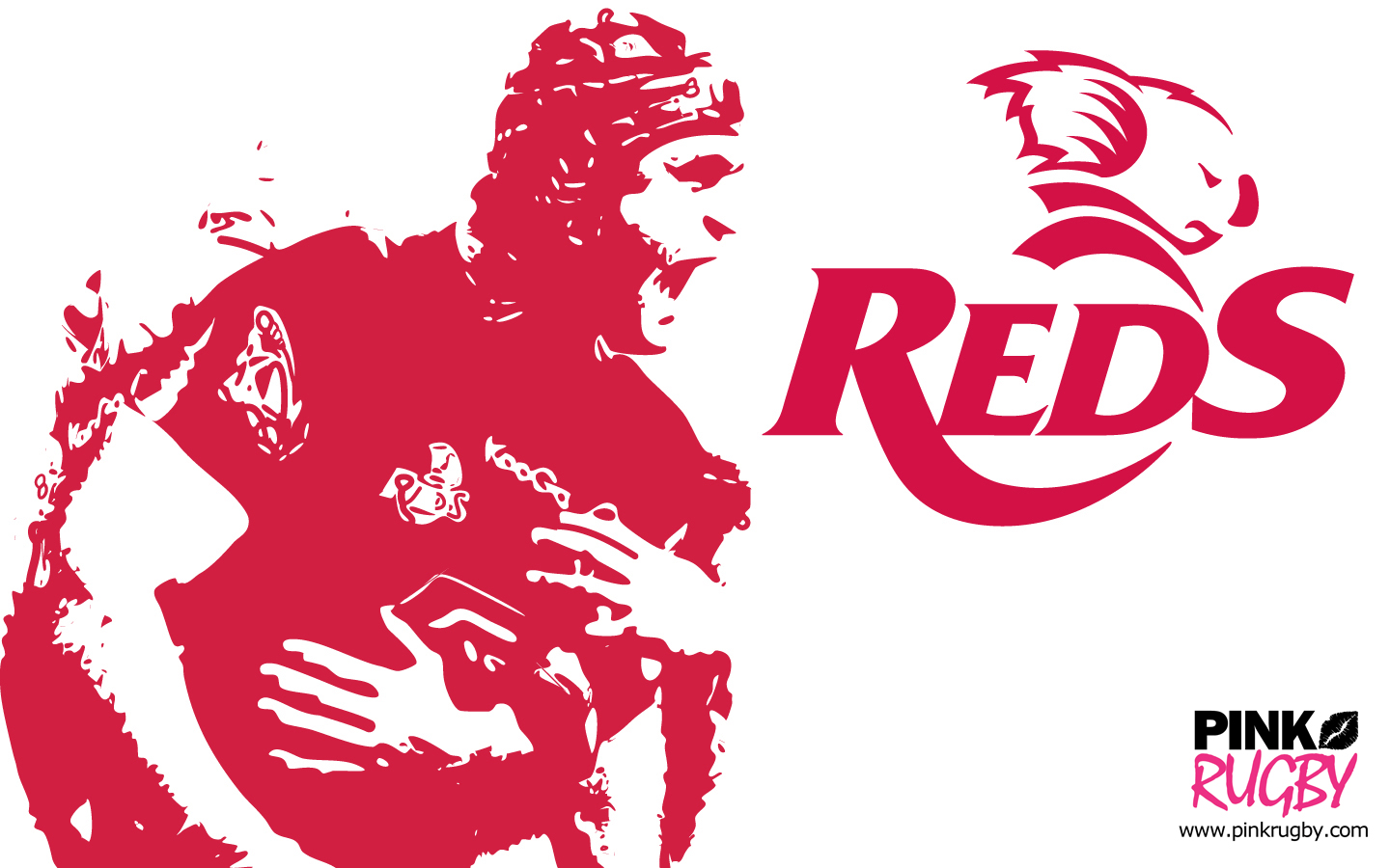 Queensland Reds - HD Wallpaper 