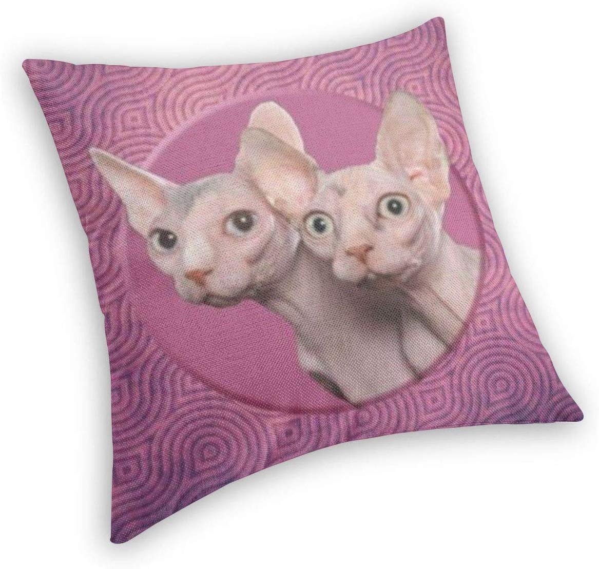 Sphynx - HD Wallpaper 