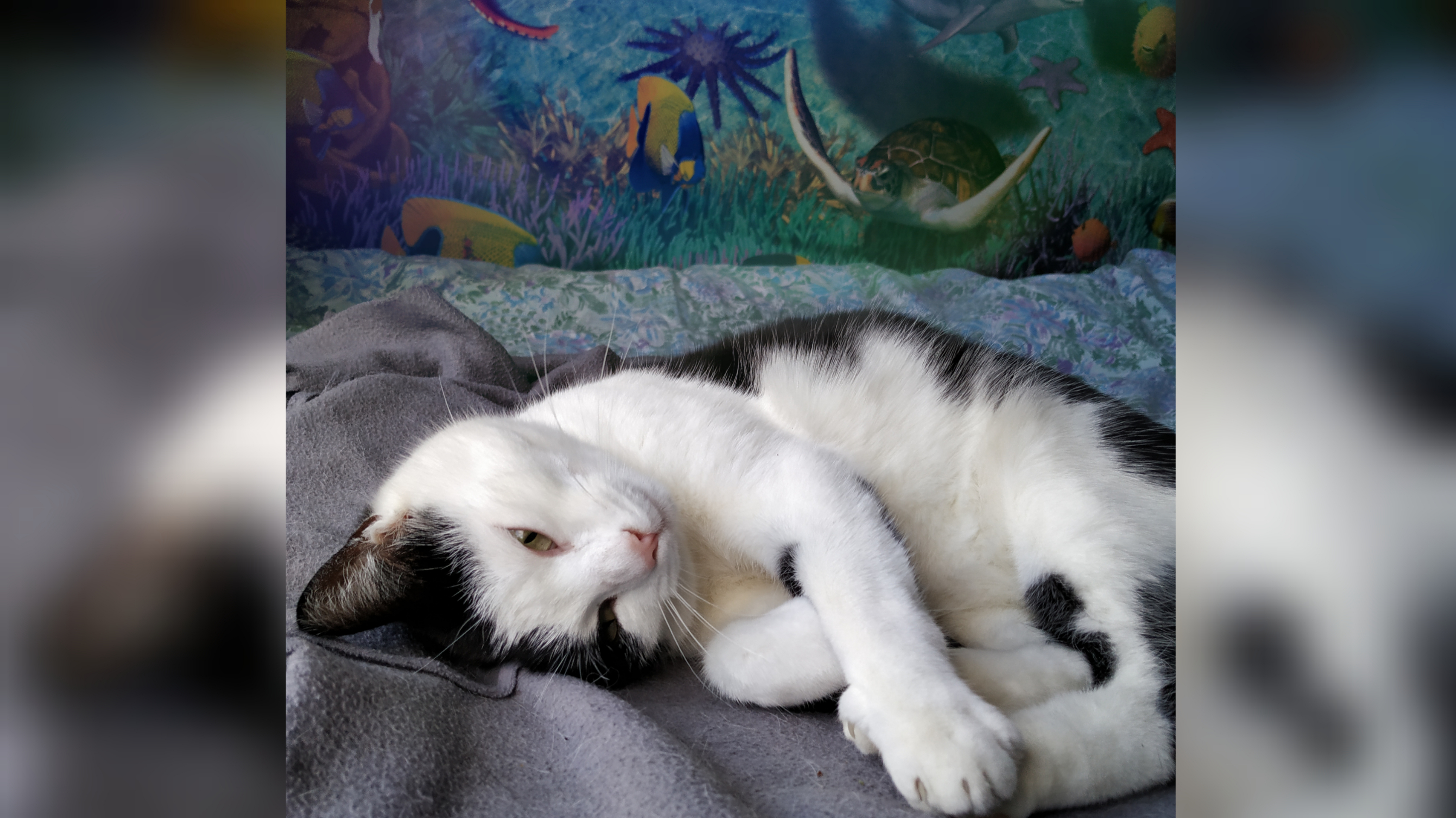 ภาพ วาด ใต้ ท้อง ทะเล - HD Wallpaper 