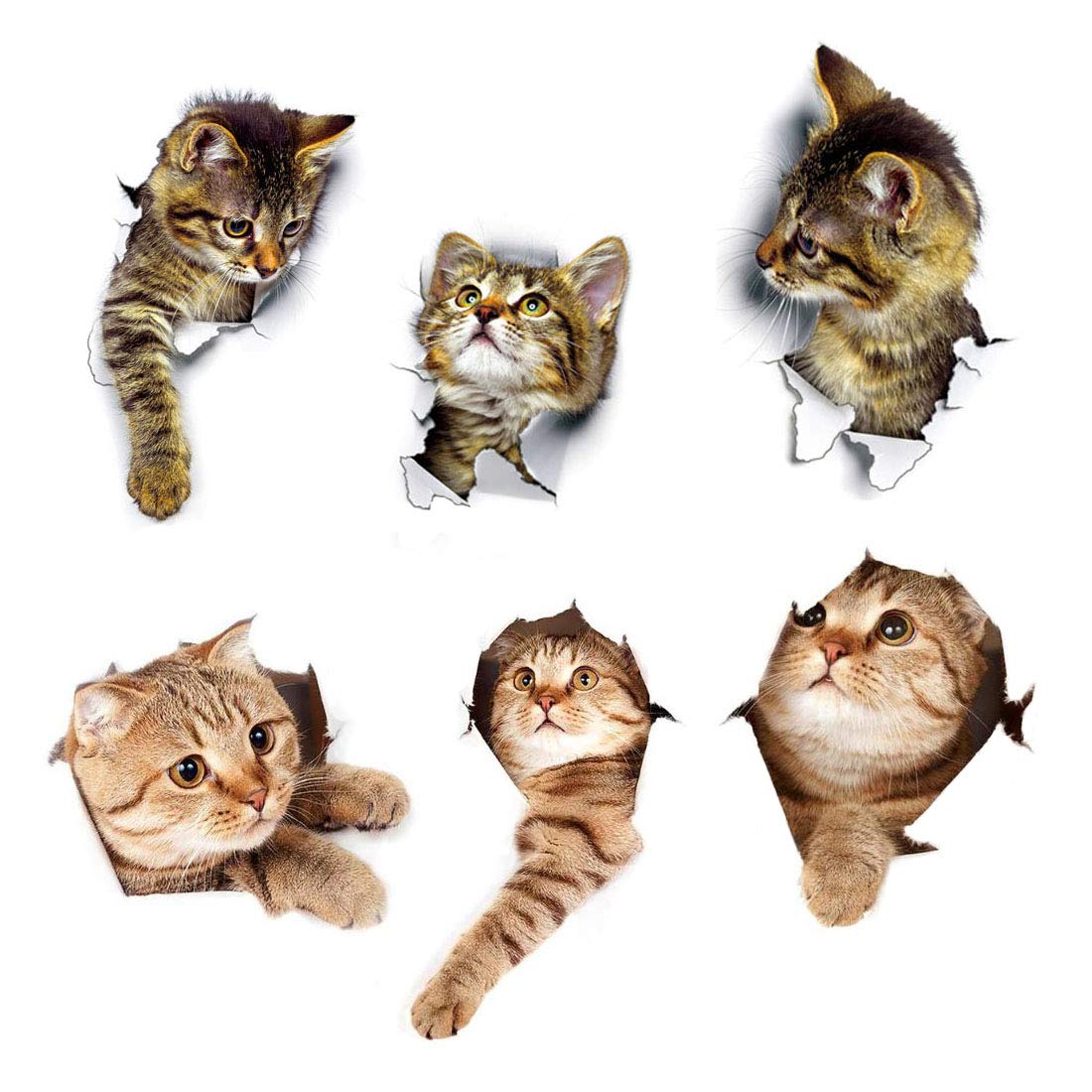 3d Cat Wall Stickers - HD Wallpaper 