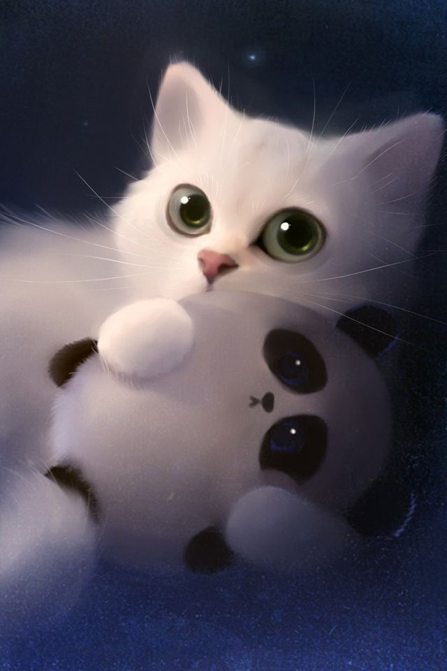 Cute Cat Wallpaper Iphone - HD Wallpaper 