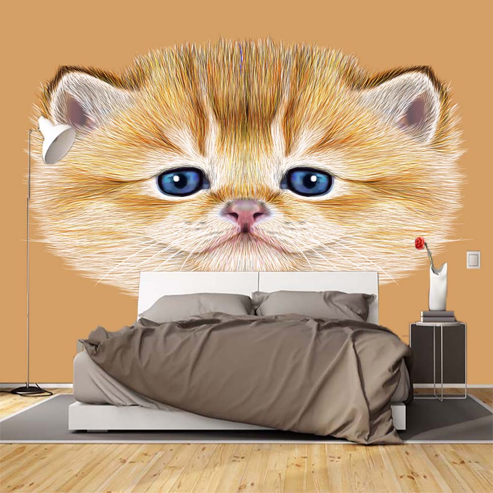 Cat - HD Wallpaper 