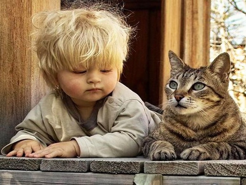 Cute Baby Boy With Cat Wallpaper - طفل مع قطه - HD Wallpaper 
