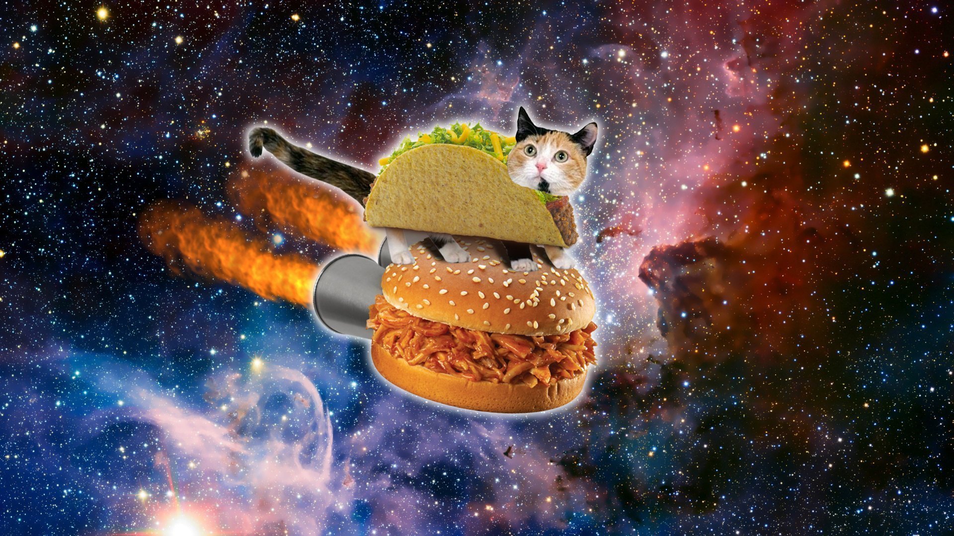 Galaxy Cat Background - HD Wallpaper 