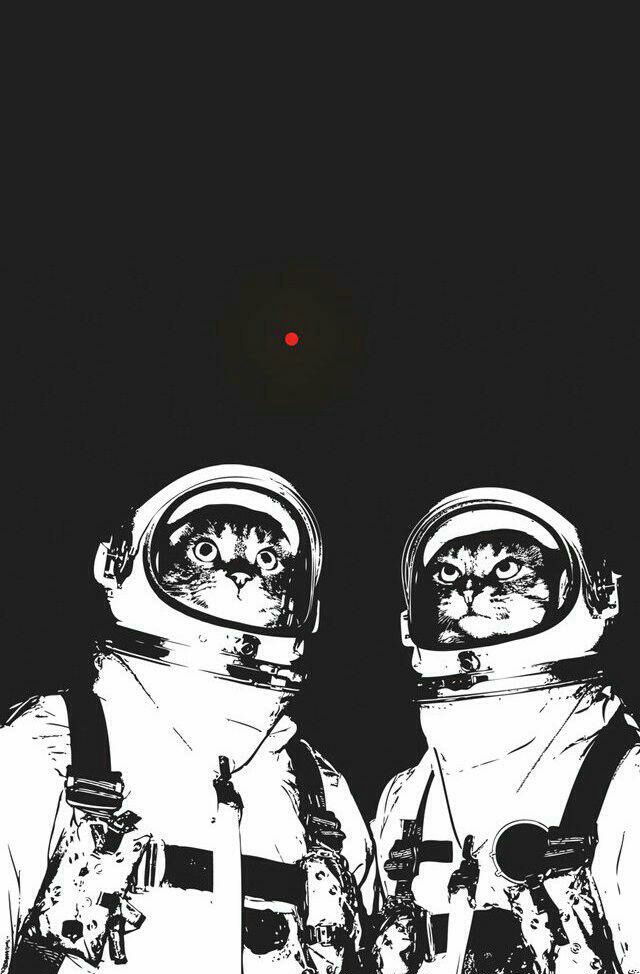 Cat, Wallpaper, And Space Image - Cats In Space Wallpaper Phone - HD Wallpaper 