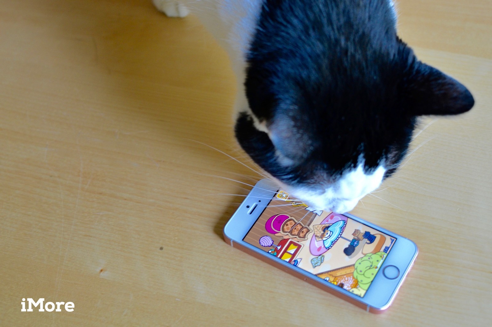 Neko Atsume - Neko Atsume Cats 2019 - HD Wallpaper 