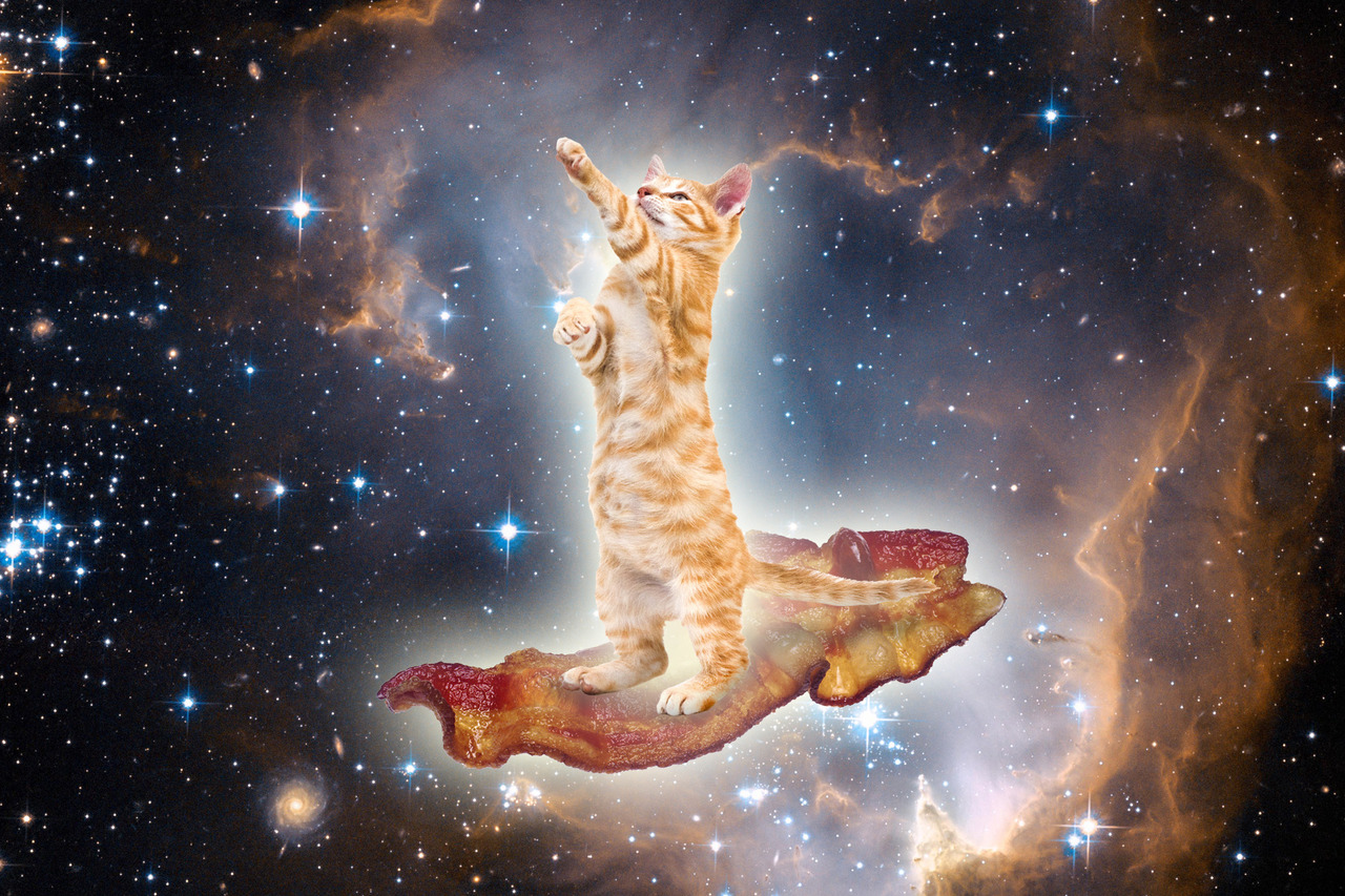 Galaxy Cat Background - HD Wallpaper 