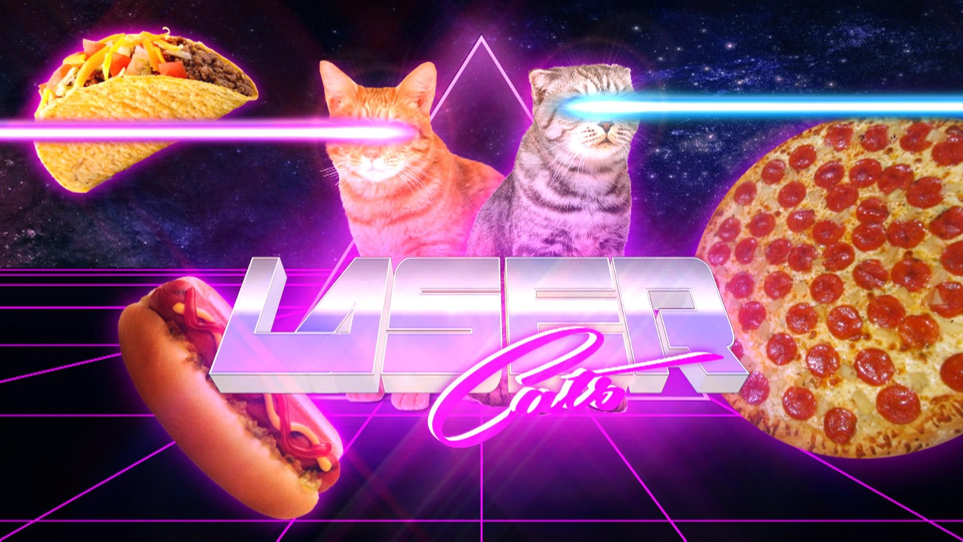 Laser Cat - HD Wallpaper 