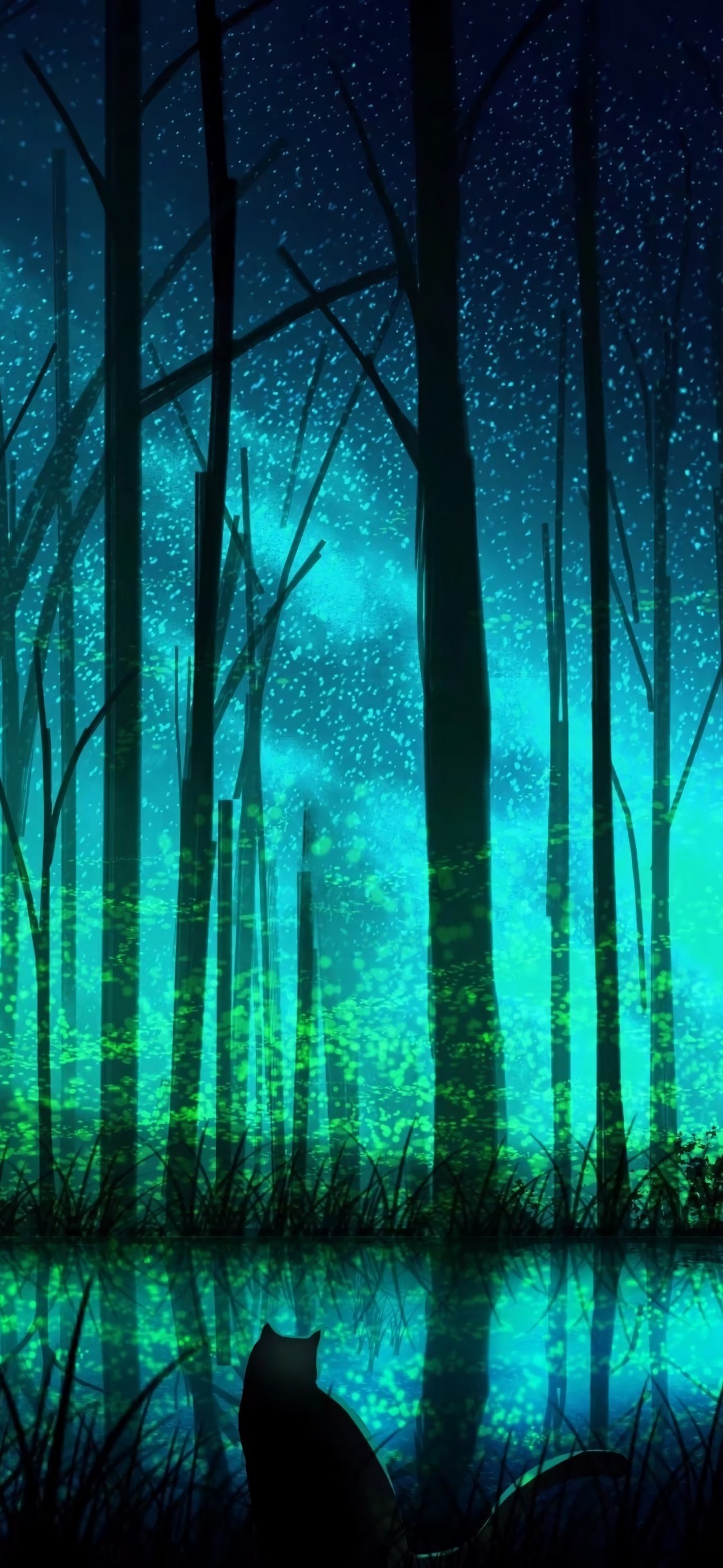 Dark Forest, Lake, Cat, Stars, Trees, Artwork - Forest Lake - HD Wallpaper 