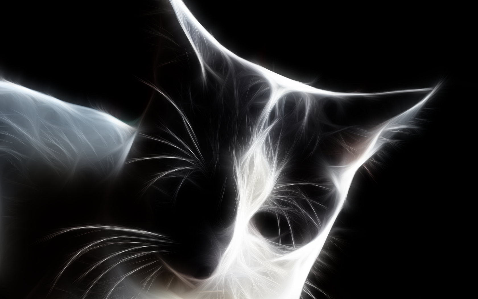 Cat, Digital Art - Asian - HD Wallpaper 