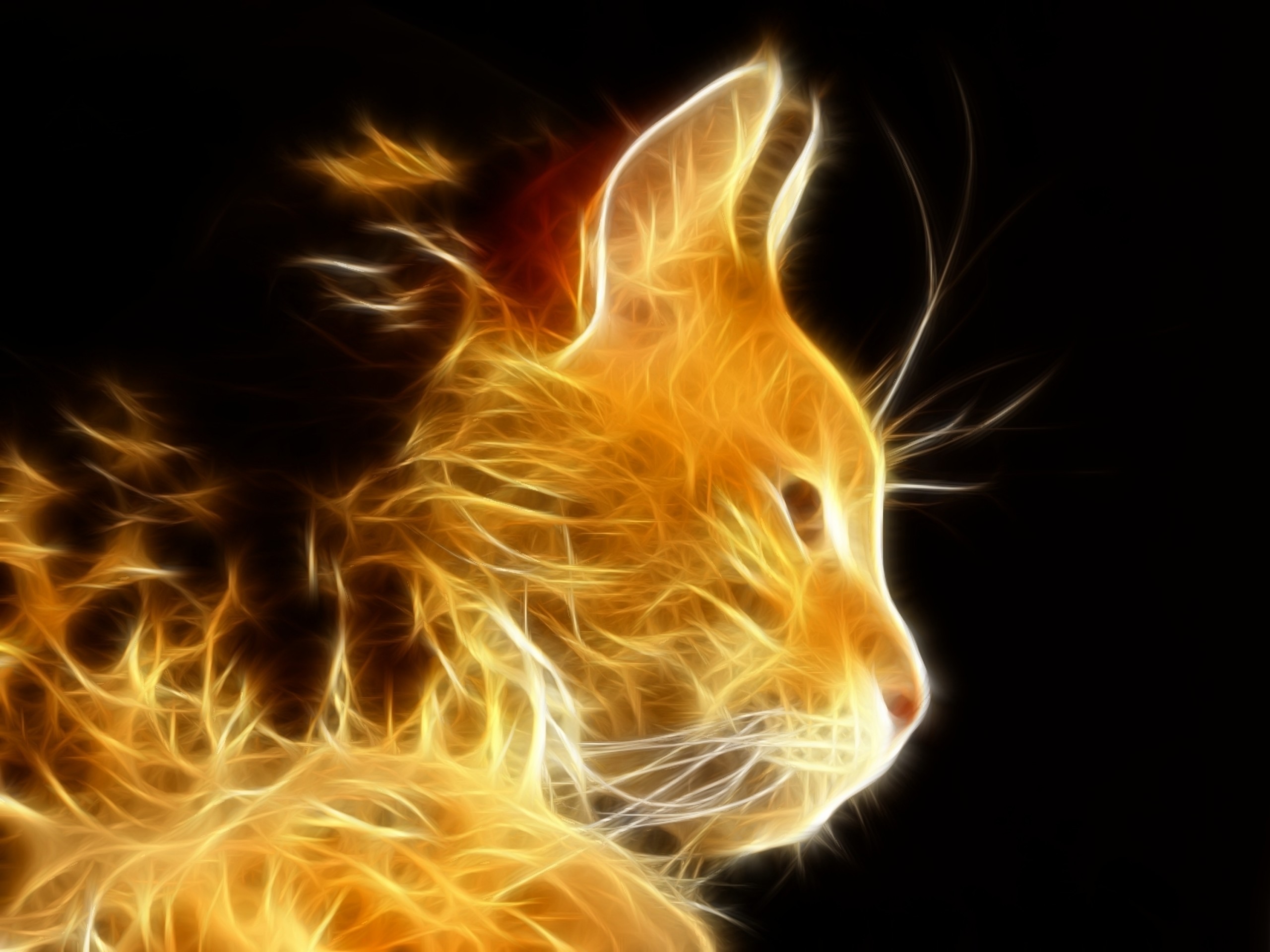 Free Space Cat Wallpapers For Iphone Â« Long Wallpapers - Fire Cat - HD Wallpaper 