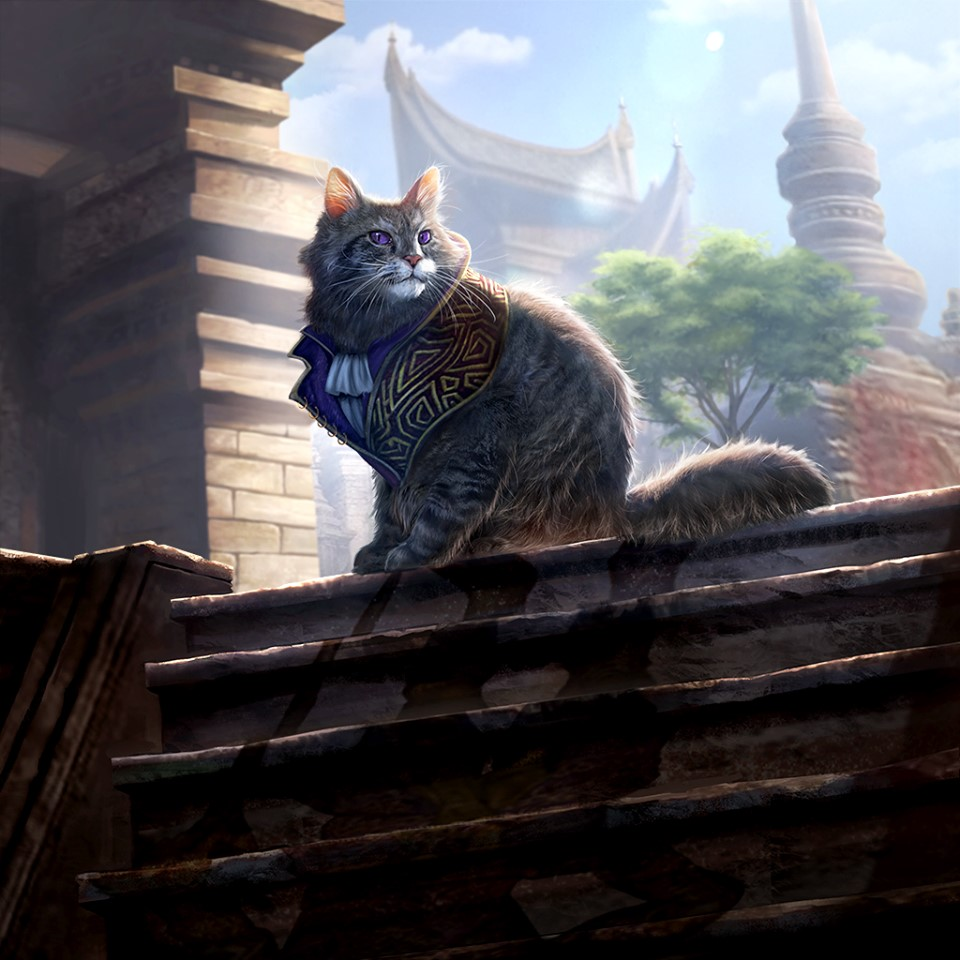 Elder Scrolls Legends Skooma Cat - HD Wallpaper 
