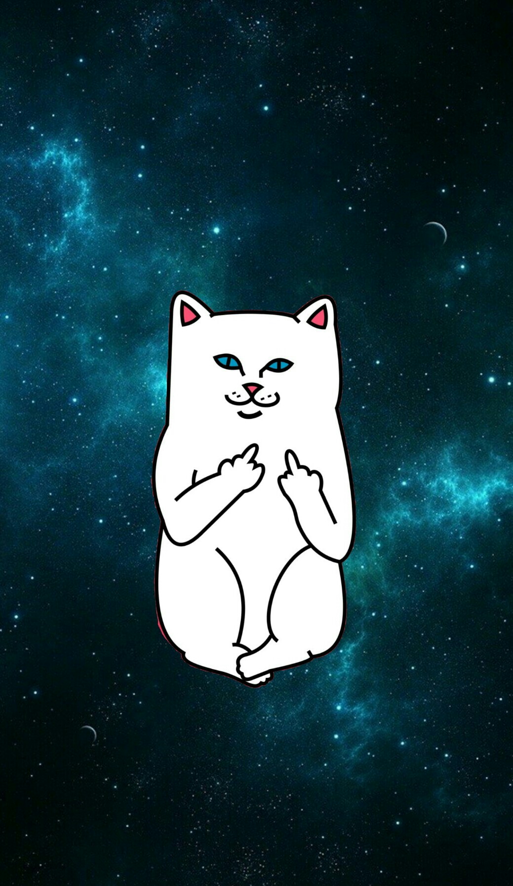 Space Cat Wallpaper Iphone - Home Screen Middle Fingers - HD Wallpaper 