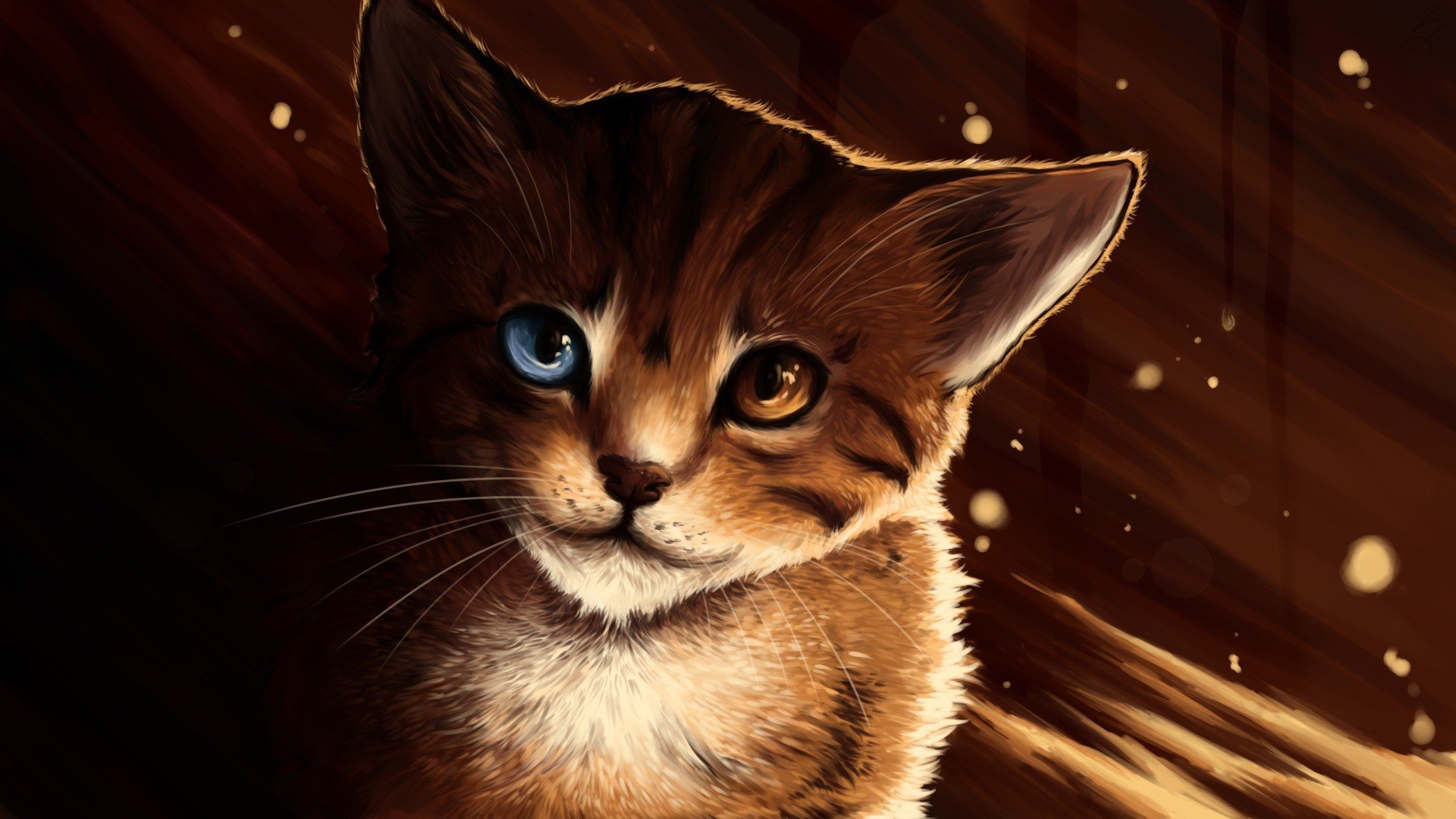 Dark Cat Wallpaper - HD Wallpaper 