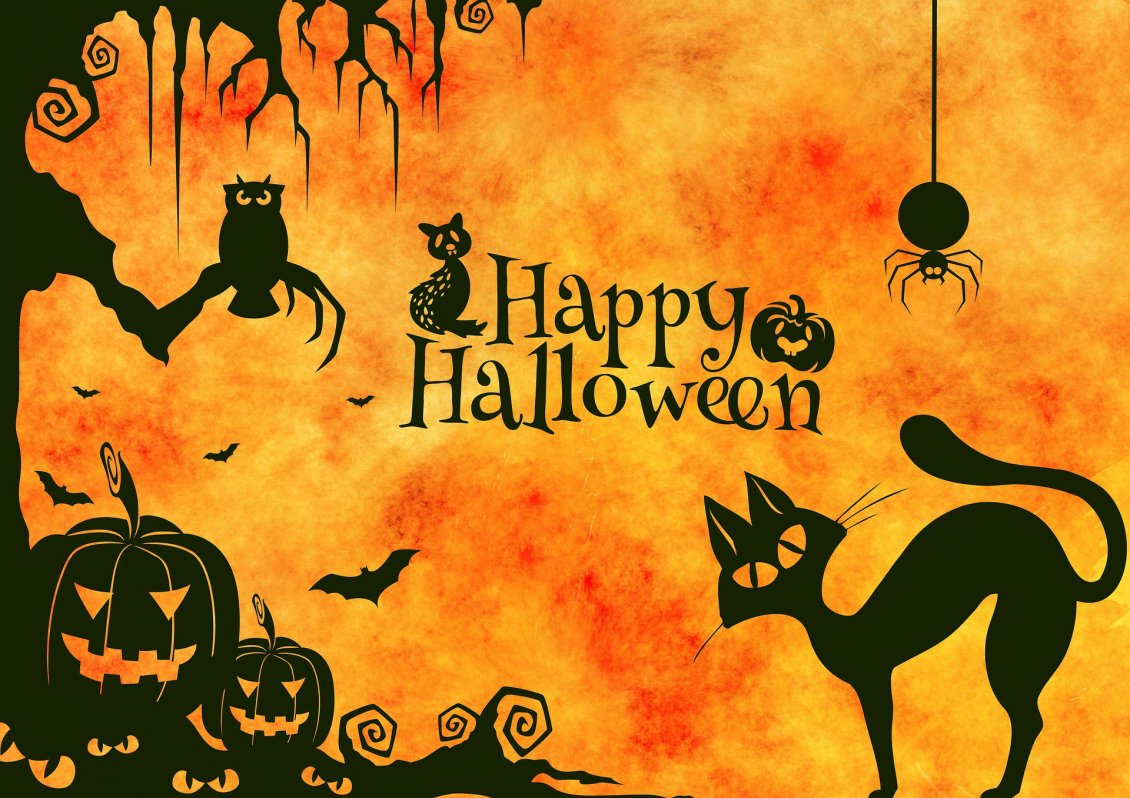 Download Wallpaper Dark Cat And Spiders - Happy Halloween - HD Wallpaper 