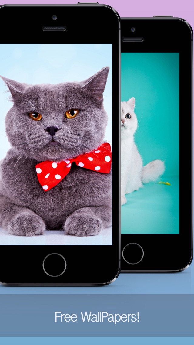 Funny Animal Joke - HD Wallpaper 