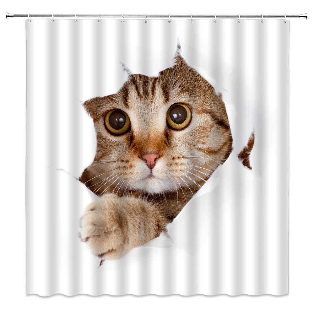 Sup Veto - HD Wallpaper 