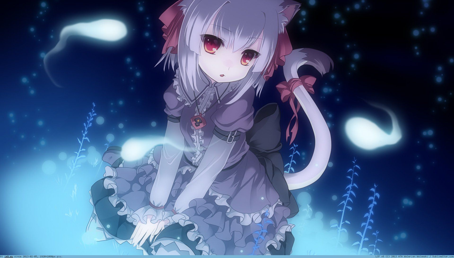 Kawaii Cat Wallpaper - HD Wallpaper 