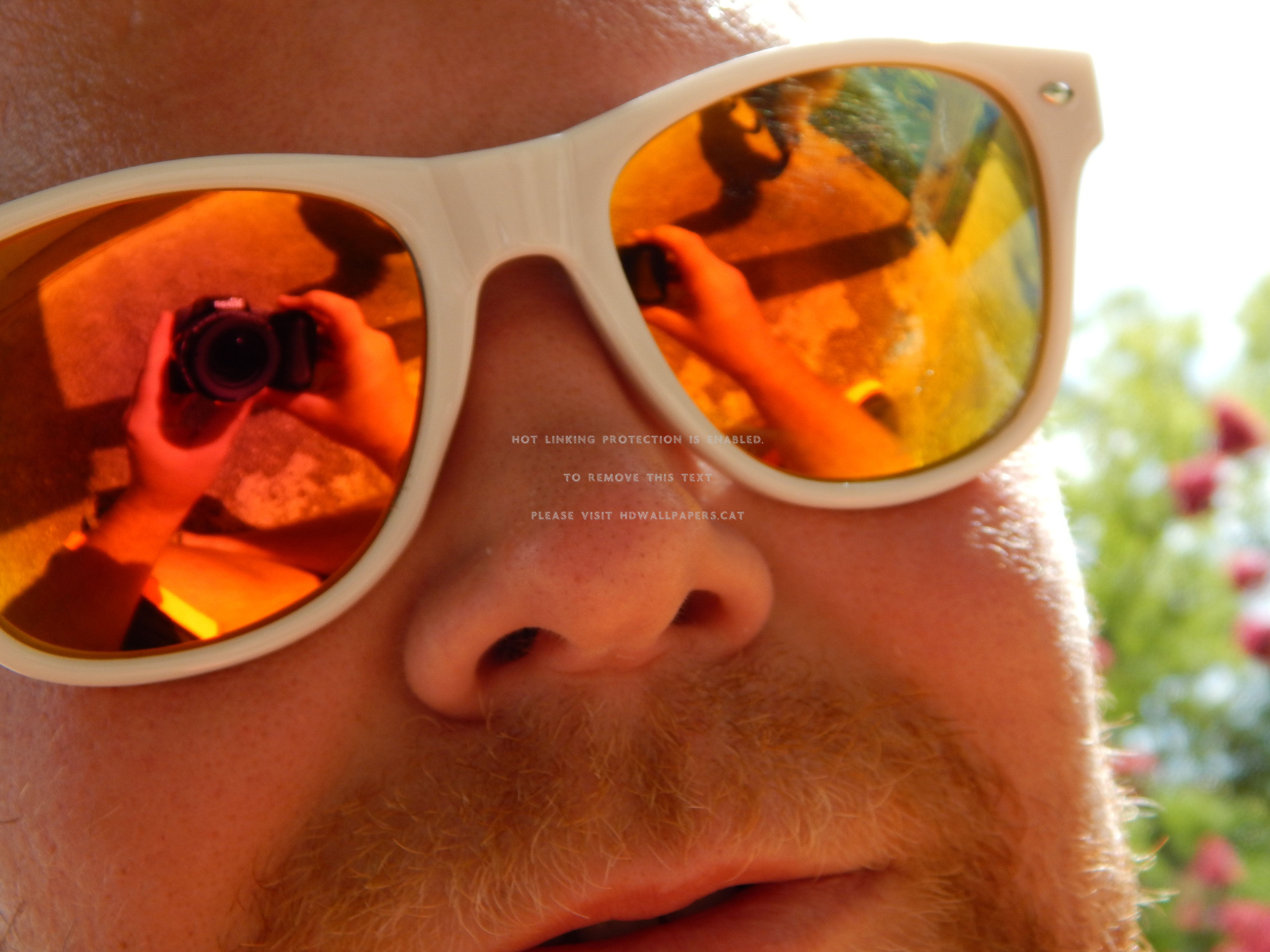 Summertime Shades Sunglasses Eyewear Zerouy - Reflection - HD Wallpaper 