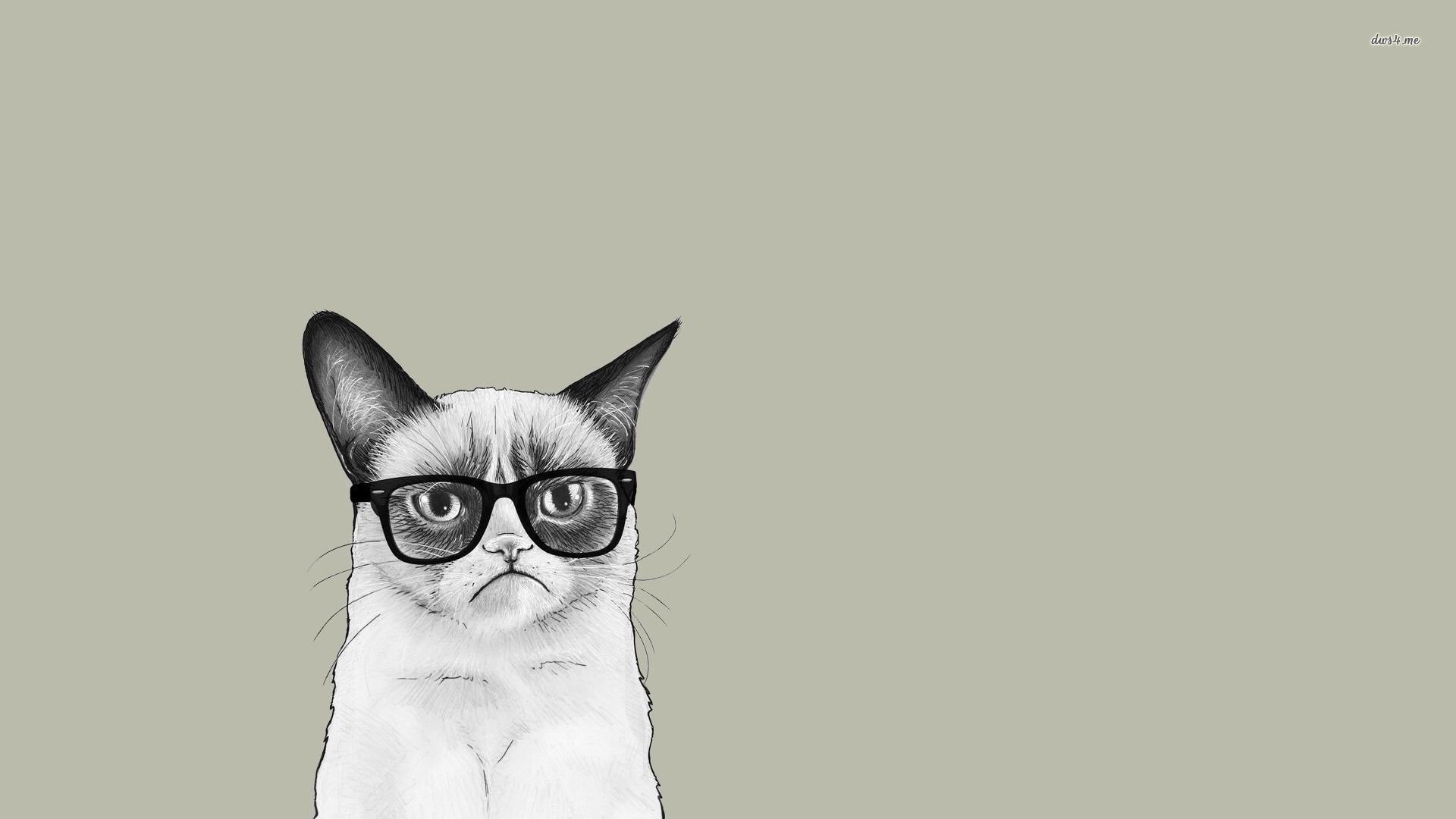 #63q44q1 Free Cat Wallpaper For Computers Px - Grumpy Cat With Glasses Hd - HD Wallpaper 