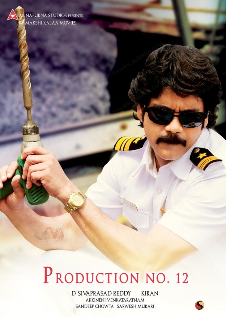 Kedi Nagarjuna - HD Wallpaper 