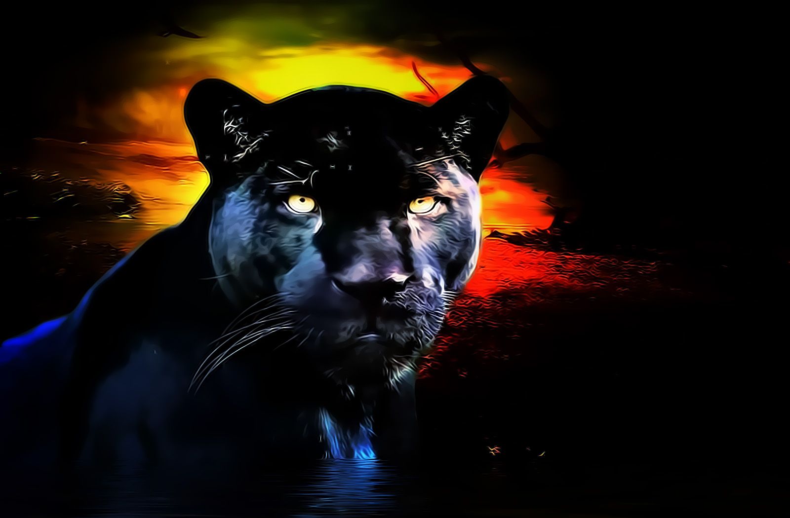 Cool Black Panther Animal - 1600x1050 Wallpaper 