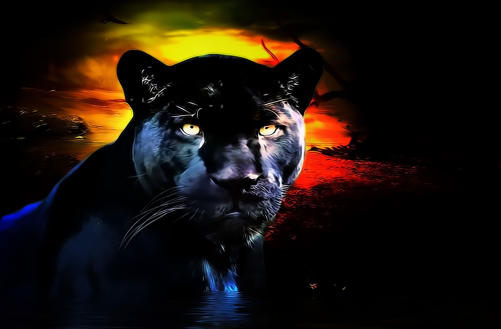 Cool Black Panther Animal - 1600x1050 Wallpaper Cool Black Panther Animal - 1600x1050 Wallpaper