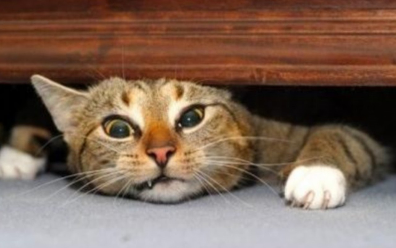 Funny Growth Mindset Memes - HD Wallpaper 